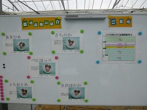 P1040712栽培品種の紹介