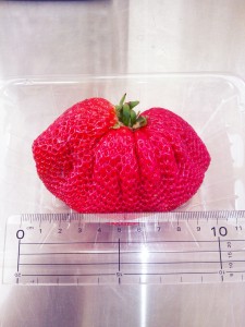 2014-02-05-09-19-22_deco