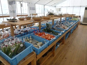 P1060215新鮮野菜