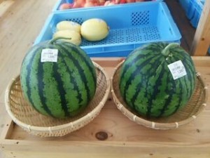 スイカ