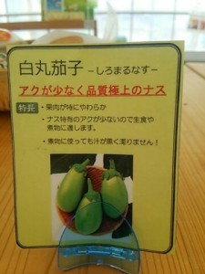 白丸ナス